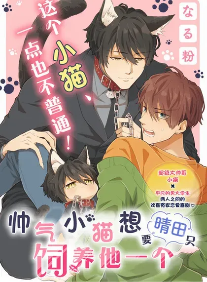 【漫画更新】: 第7话-帅气小猫想要晴田只饲养他一个已更新 – 免费阅读