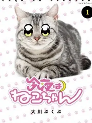 【漫画更新】: 18-今夜是猫咪酱已更新 – 免费阅读